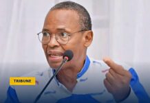 L’AFRIQUE EN TAILLE RÉELLE
