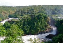 CE WEEK-END, NOUS VOUS EMMENONS AUX CHUTES DE MURCHISON EN OUGANDA