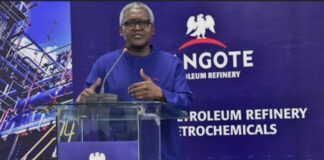 LA RAFFINERIE DANGOTE EN BOURSE : LAGOS AU CŒUR DU PLUS GRAND PARI FINANCIER AFRICAIN