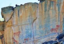 À LA DÉCOUVERTE DE LA VALLÉE DES ROIS DE L’ART RUPESTRE DU BOTSWANA