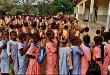 ÉCOLE GUINÉENNE : QUAND L’EXCELLENCE D’HIER LAISSE PLACE AU DOUTE